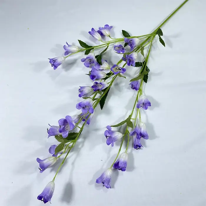 Fleur de lys des prés pour mariage