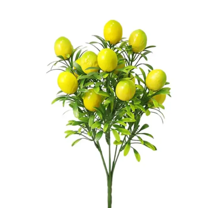 Ligne de fruits porte-bonheur de produits d'arrangement de fleurs