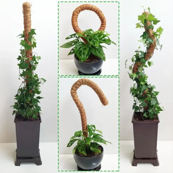Support de plante Monstera pliable en mousse