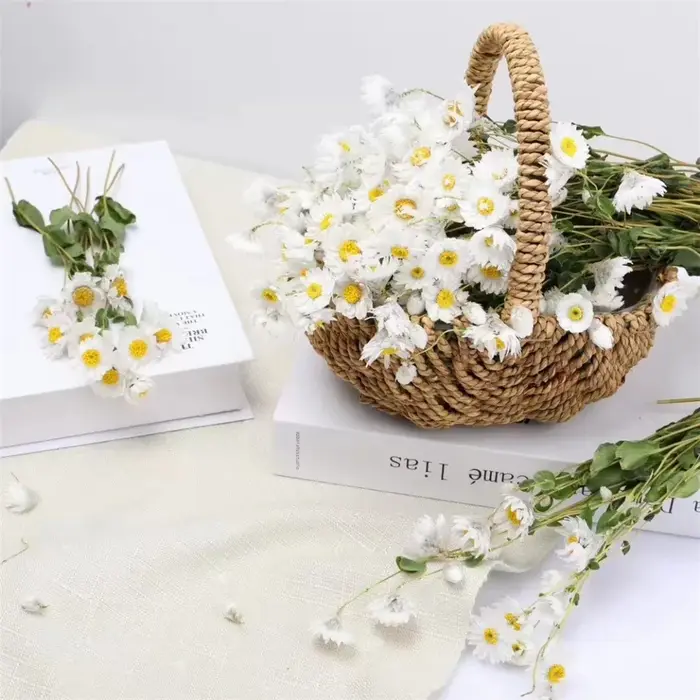 Fleurs conservées séchées fraîches naturelles