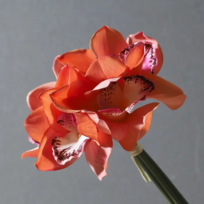 Bouquet de fleurs artificielles en soie Cymbidium 4 têtes sensation d'hydratation orchidée papillon
