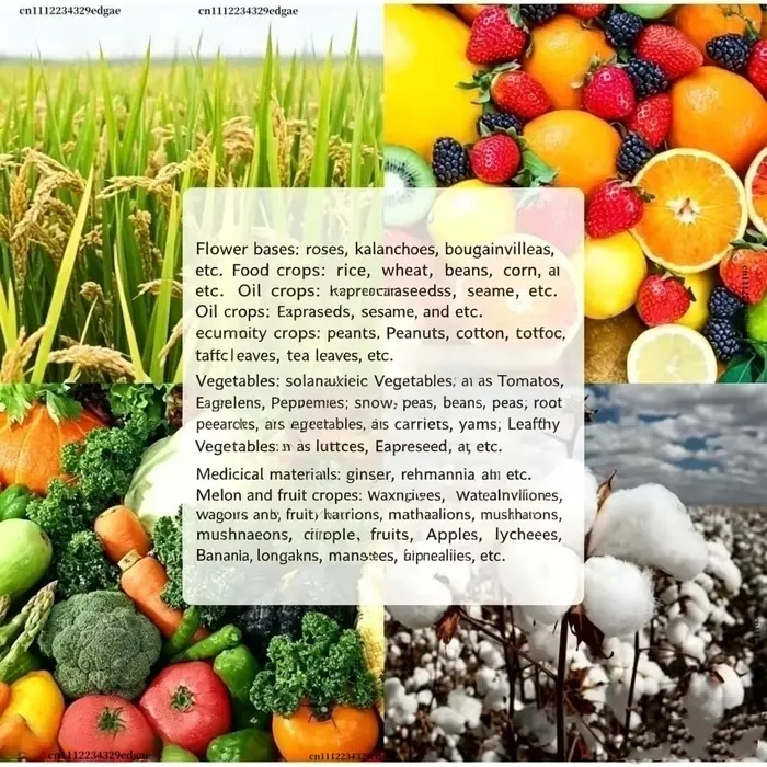 6-BA 6-Benzylaminopurine Cytokinine en poudre, régulateur de croissance des plantes, favorise la germination et la division cellulaire