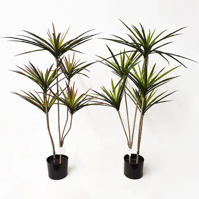 Plantes artificielles Dracaena