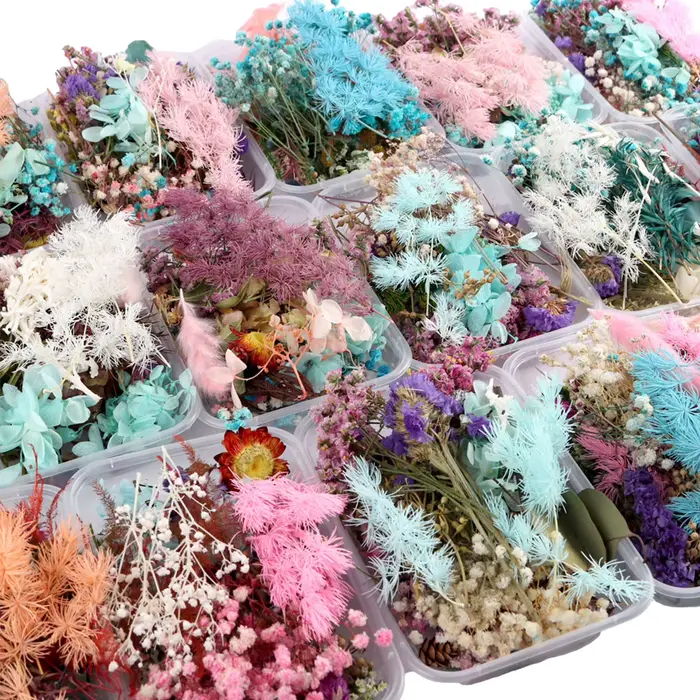 Véritables boîtes de fleurs séchées pour l'aromathérapie