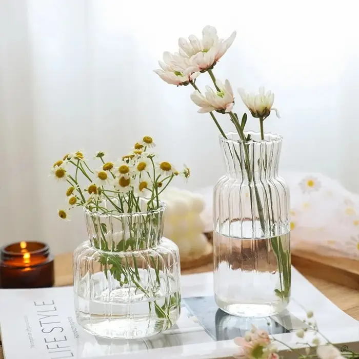 Vases transparents créatifs nordiques