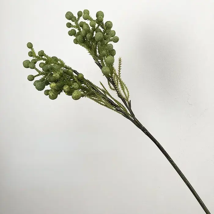 Simulation de plantes vertes décoratives d'hôtel, branche de pin-berry sud-africain, café, décoré av