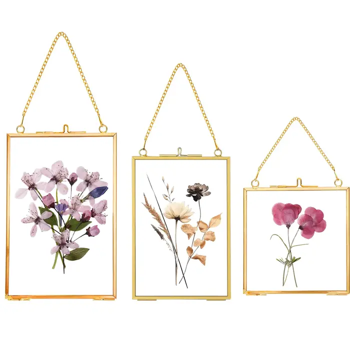 Cadres de fleurs pressés suspendus, cadre photo flottant en verre Double fait à la main, cadre en ve