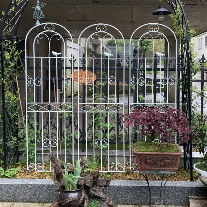 Clôtures de jardin d'extérieur en fer pour plantes grimpantes et fleurs