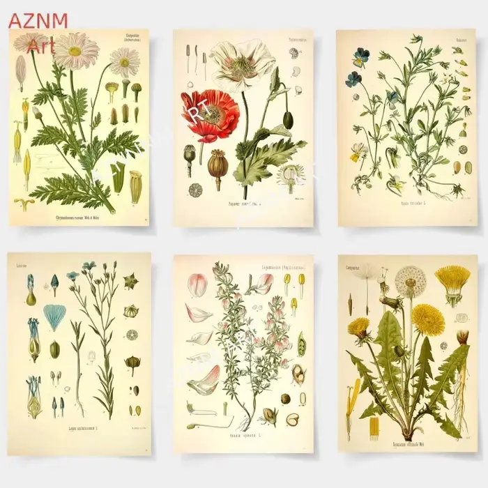Affiches d'impression de jardin de fleurs botaniques vintage