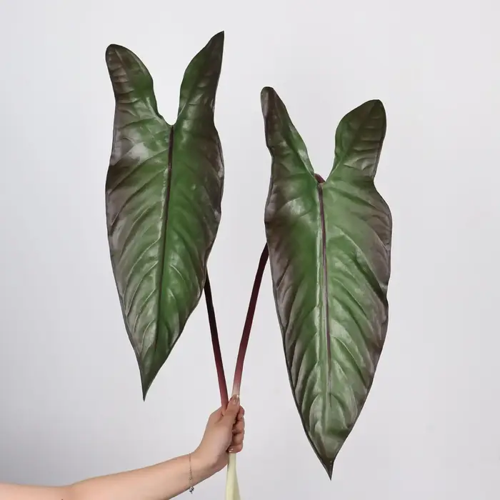 Feuille d'alocasie artificielle de 31 pouces