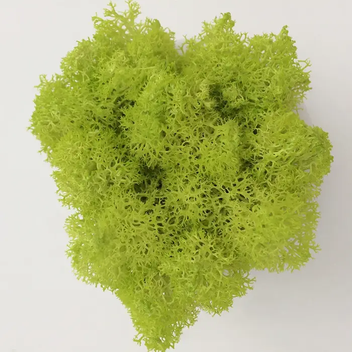 Mousse éternelle 200, 100, HI-Q g, g, gazon artificiel, plante verte, décoration pour maison, jardin