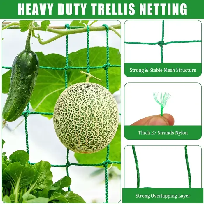 Grillage de treillis robuste pour plantes grimpantes d'extérieur