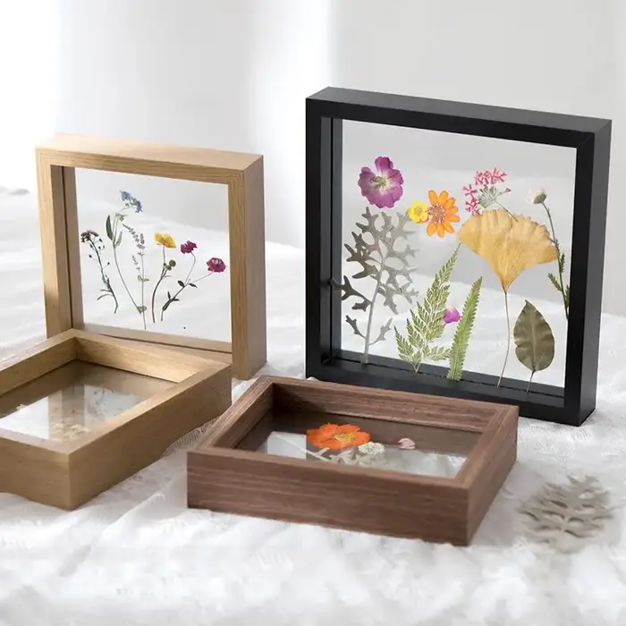 Boîte à spécimen de feuilles de fleurs séchées de style européen