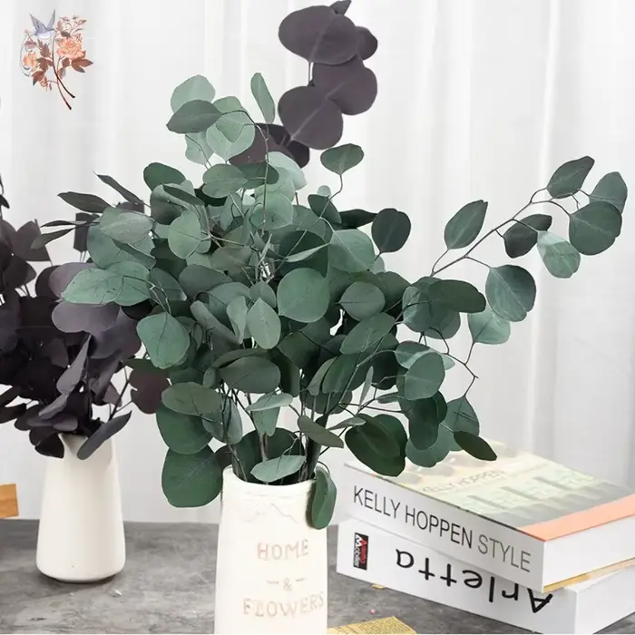 Bouquet de feuilles d'eucalyptus conservées