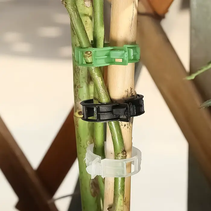 Clips de Support Réutilisables pour Plantes, Outils de Jardin, pour Tomate, Raisin, Vignes, Fruits, 
