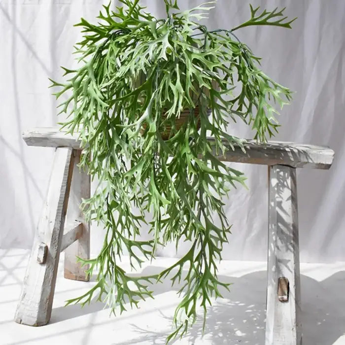 Plantes artificielles de 80 cm, fougères de cerf en plastique, feuilles réalistes, plantes artificielles suspendues au mur