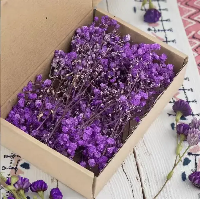 Lot de 50 mini-bouquets de fleurs séchées Gypsophile blanches