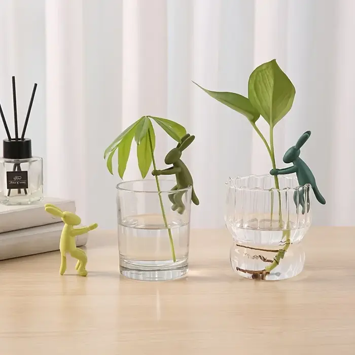 Buddy de propagation des plantes