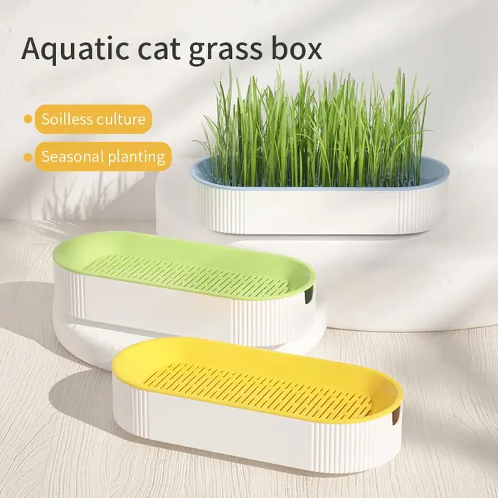 Kit de culture hydroponique d'herbe à chat pour chats