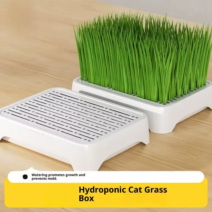 Pot de culture hydroponique pour herbe à chat