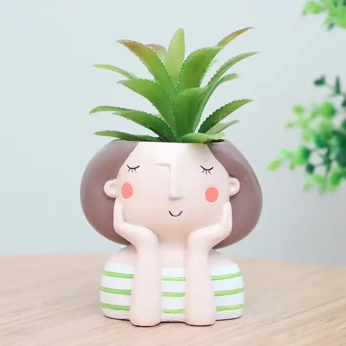 Pot de fleur pour fille succulente