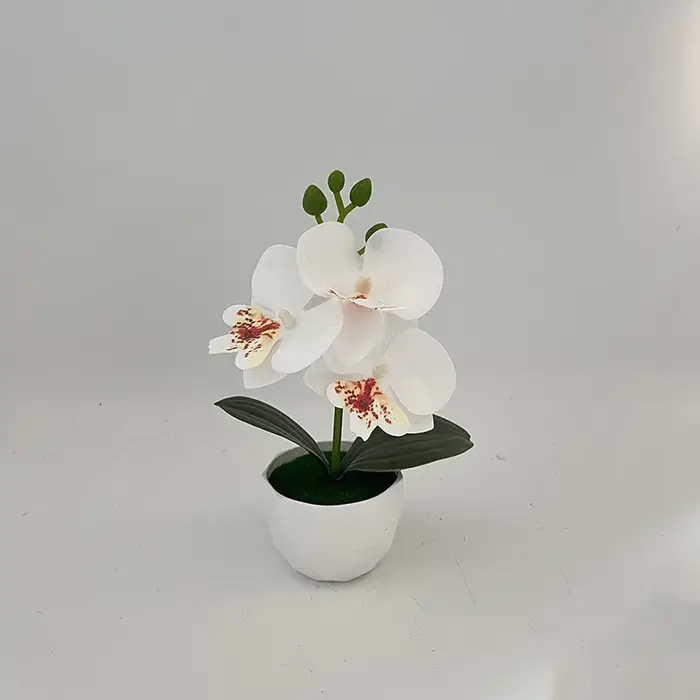 Trois simulés papillon orchidée diamant bonsaï petits ornements hôtel chez l'habitant ensemble de bu