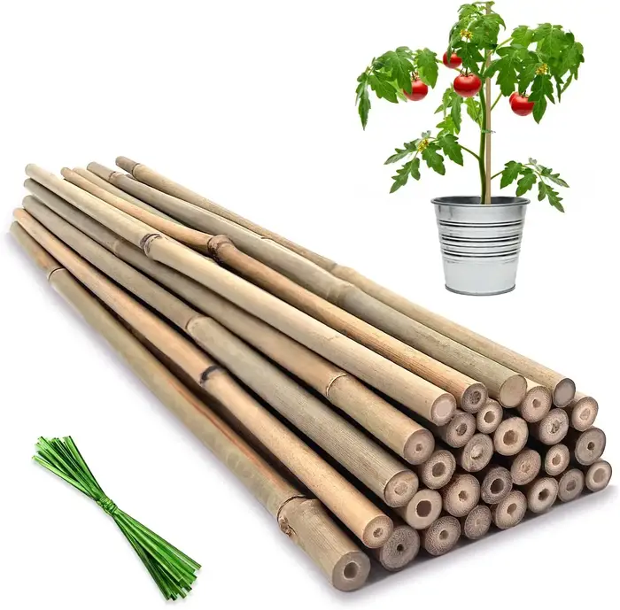 Piquets de Soutien pour Plantes