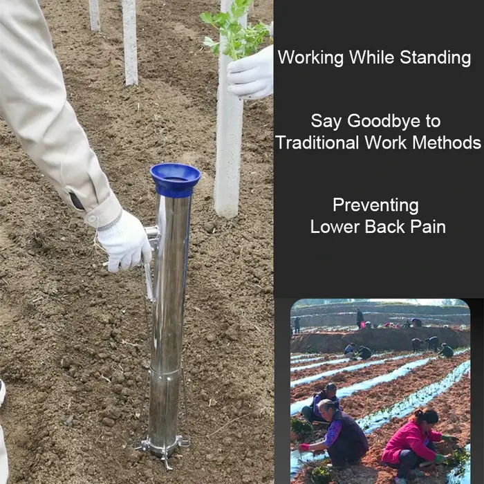 Transplanteur de semis en acier inoxydable