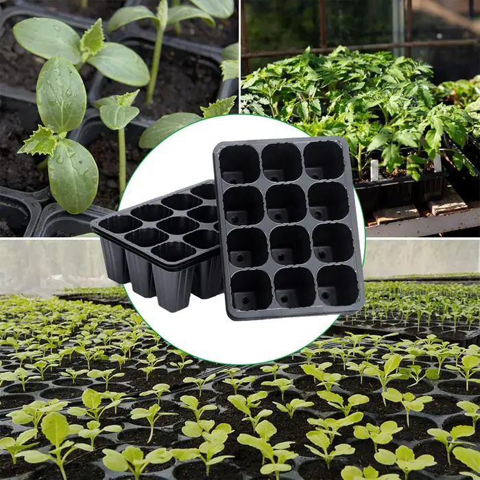 Plateau de semis en plastique noir à 12 trous pour plantes, Pots de démarrage de graines de jardin, plateaux de plantation pour légumes et fleurs