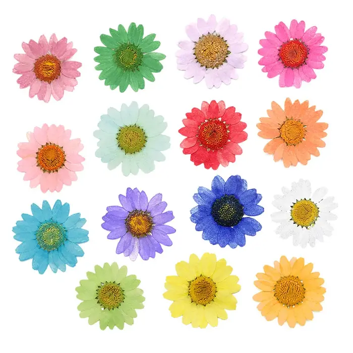 PMurcia-Fleurs séchées à la presse