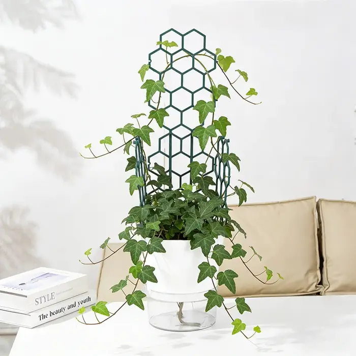 Treillis pour plantes grimpantes