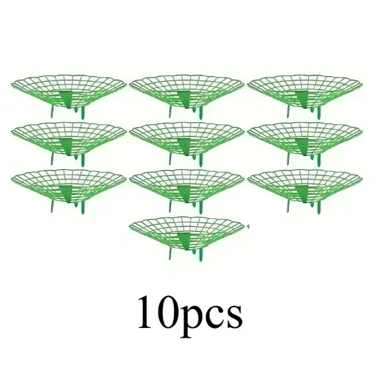 Supports pour plantes de fraises, avec trois pieds robustes, offrant une protection contre la moisis