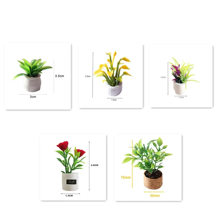 Mini plante verte en pot