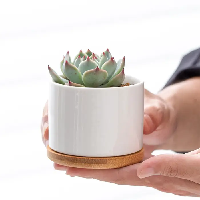 Mini pot de fleurs en céramique blanche Simple