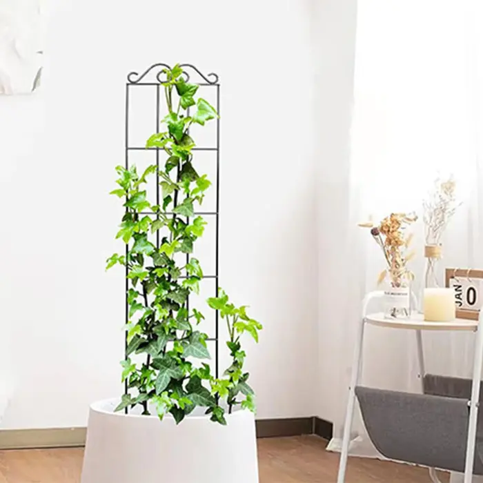 Treillis d'escalade pour plantes en pot en métal