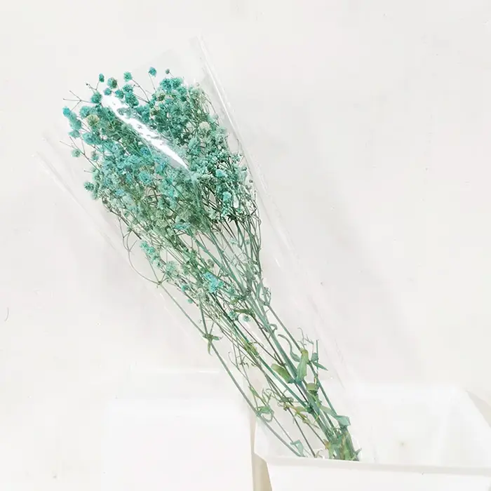 Lot de 5 fleurs éternelles de gypsophile séchées naturelles