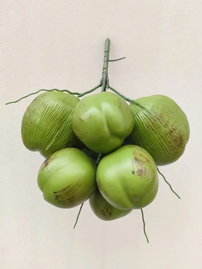 Simulation de fruits de cocotier