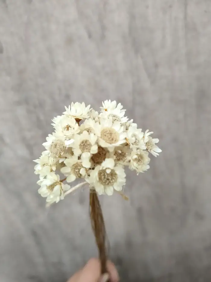 Mini bouquet de fleurs séchées artificielles, 30 pièces, fausses fleurs, pour un mariage, pour décor