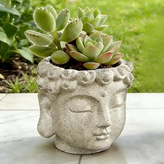 Pot à succulentes Bouddha Zen