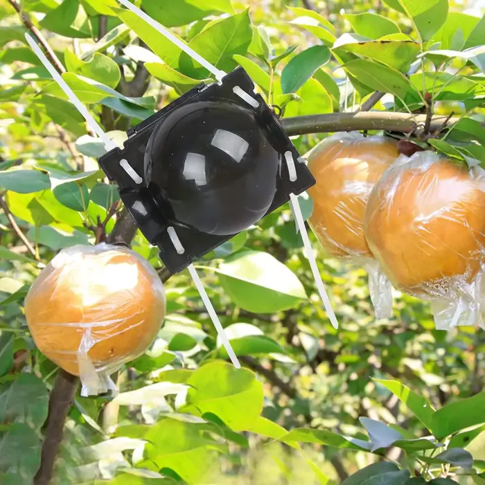 Lot de 5/30 boules de bouturage haute pression pour plantes
