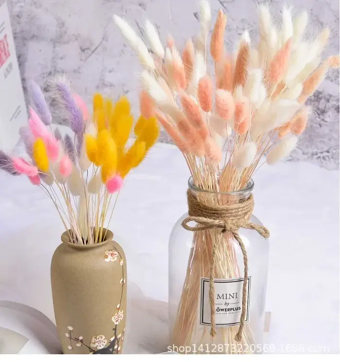 Fleurs naturelles séchées pour décoration de gâteau