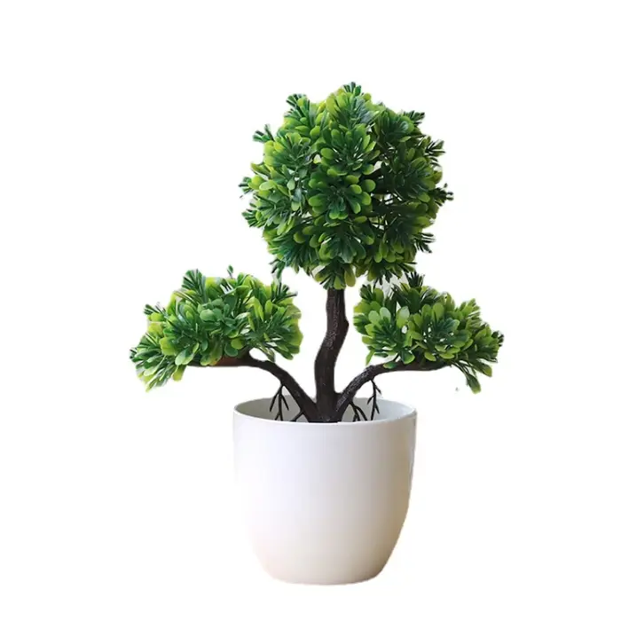 Plantes artificielles bonsaï