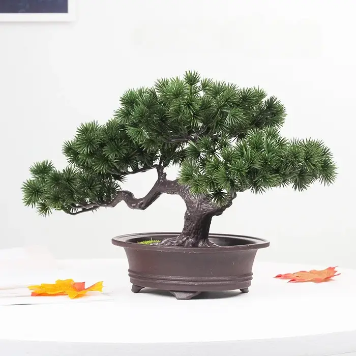 Plantes artificielles enrichies bonsaï