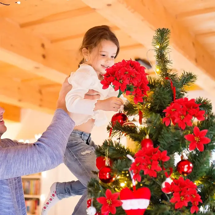 Bouquet de Fleurs Rouges pour Patients de Noël