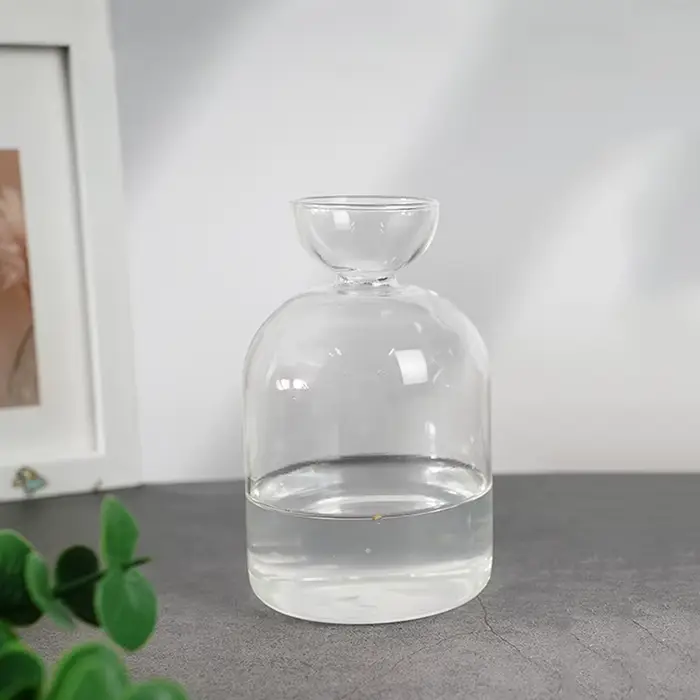 Vase hydroponique transparent en verre pour semis d'avocat