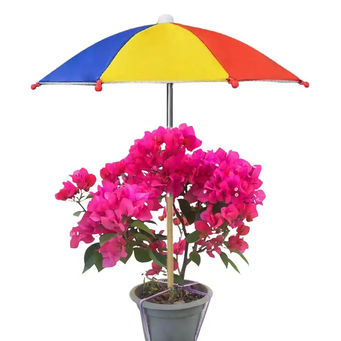 Parasol de protection UV pour plantes