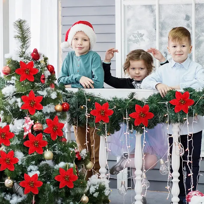 Bouquet de Fleurs Rouges pour Patients de Noël