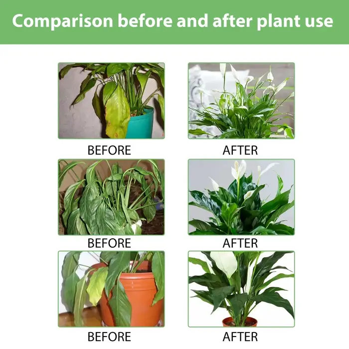 Engrais liquide pour plantes de jardin hydroponiques