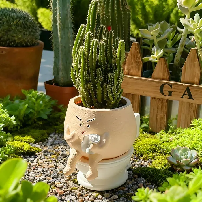 Pot de fleurs amusant en forme de toilette pour plantes succulentes