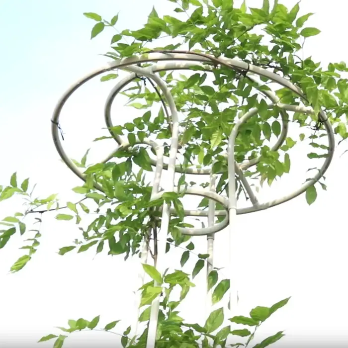 Support de plantes grimpantes en treillis de fleurs de Style parapluie